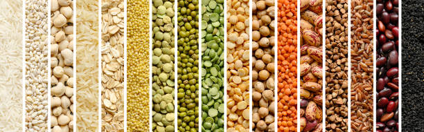 Protein Vegan Diet