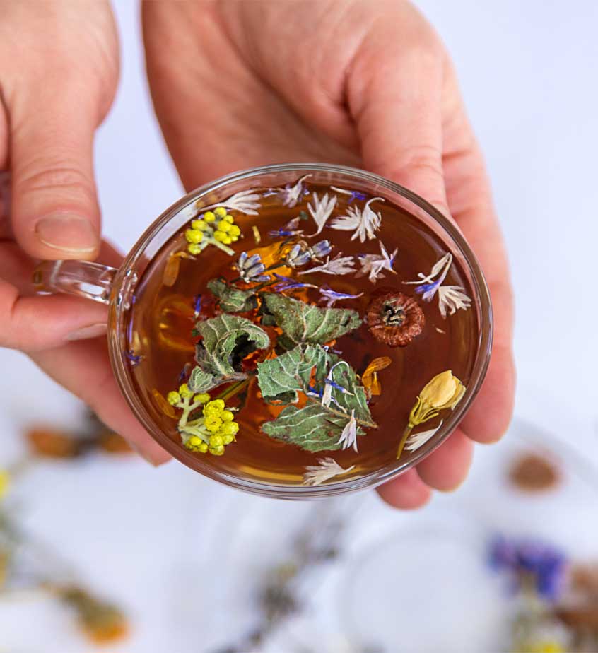 Herbal Medicine