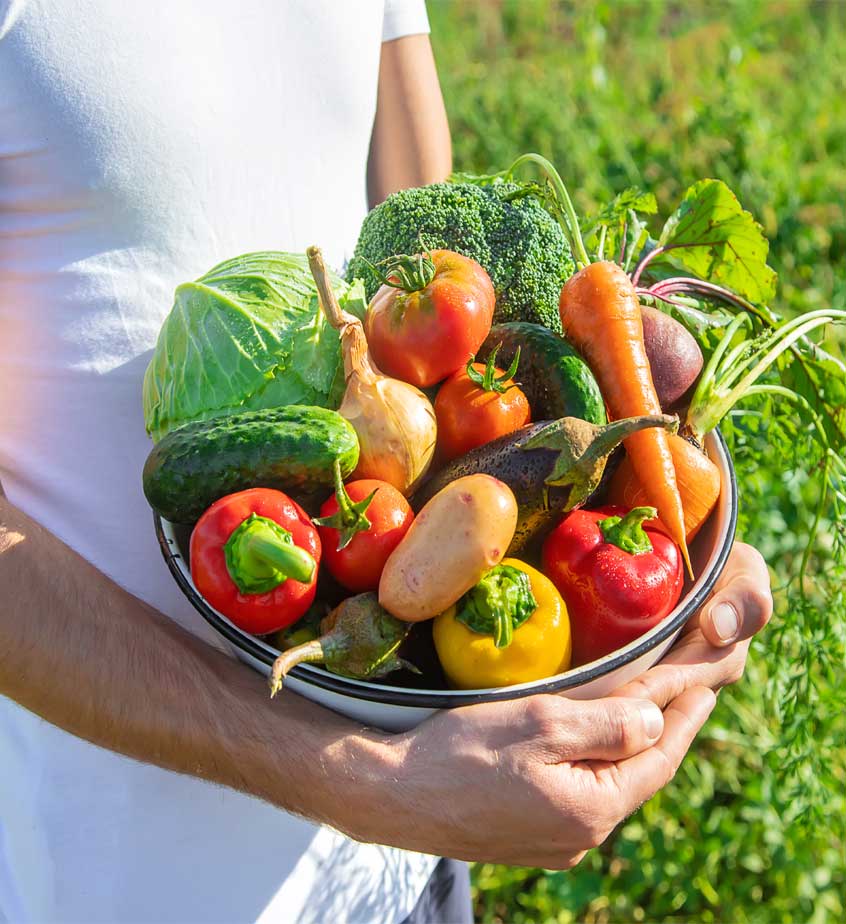 Plant Based Nutrition